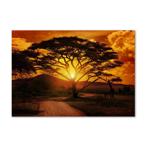 Foto in plexiglas West-Afrika