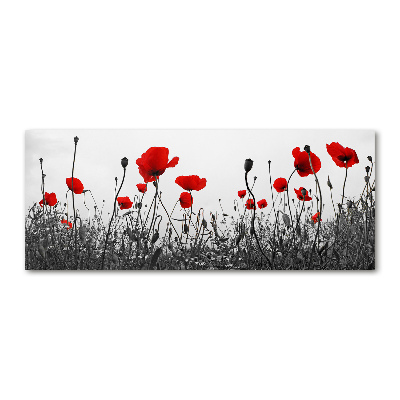 Plexiglas schilderij Klaprozen