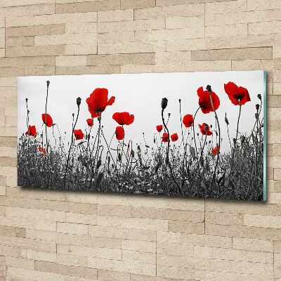 Plexiglas schilderij Klaprozen