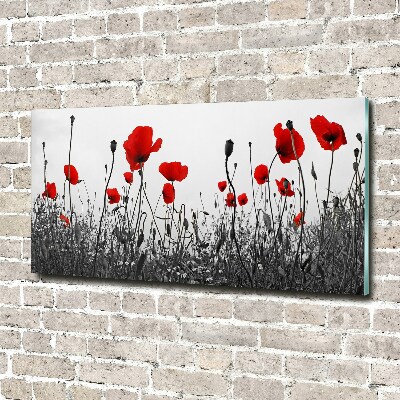 Plexiglas schilderij Klaprozen