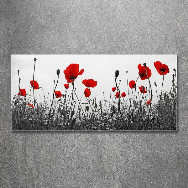 Plexiglas schilderij Klaprozen