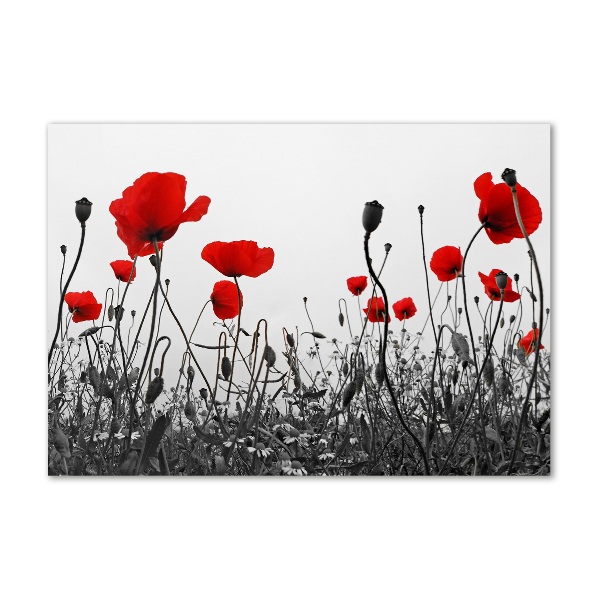 Plexiglas schilderij Klaprozen