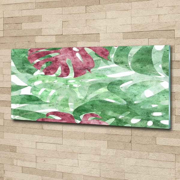 Foto in plexiglas Monstera