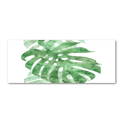 Schilderij op acrylglas Monstera