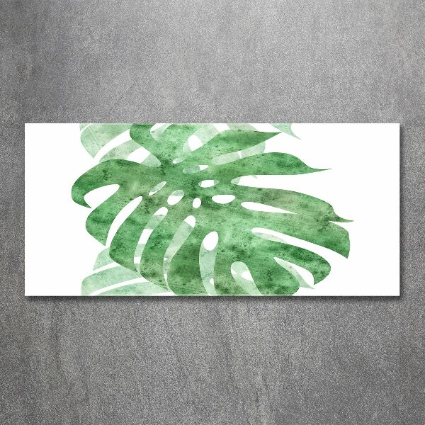 Schilderij op acrylglas Monstera