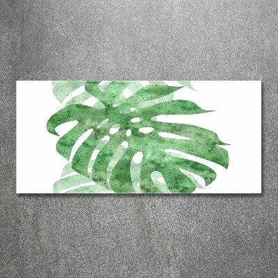 Schilderij op acrylglas Monstera