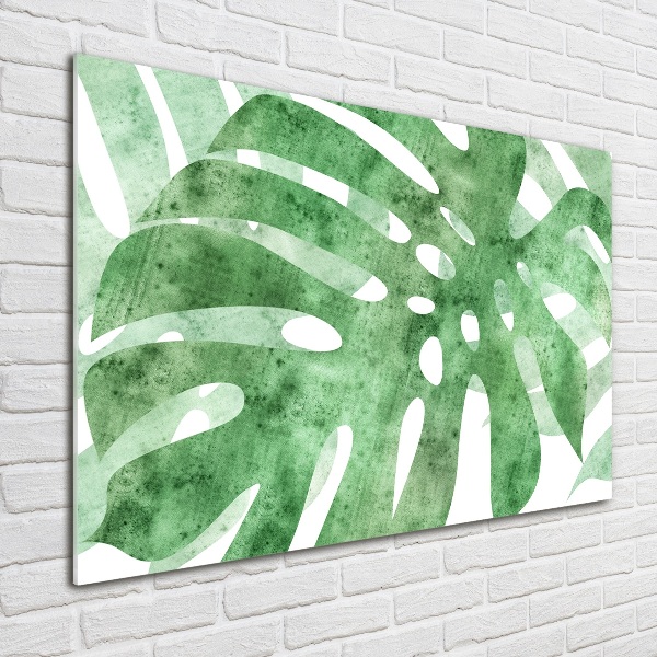 Schilderij op acrylglas Monstera