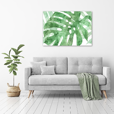 Schilderij op acrylglas Monstera