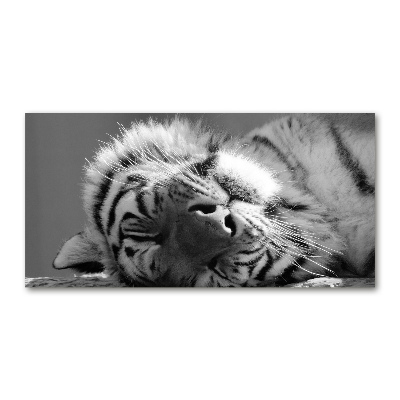 Foto in plexiglas Slapende tijger
