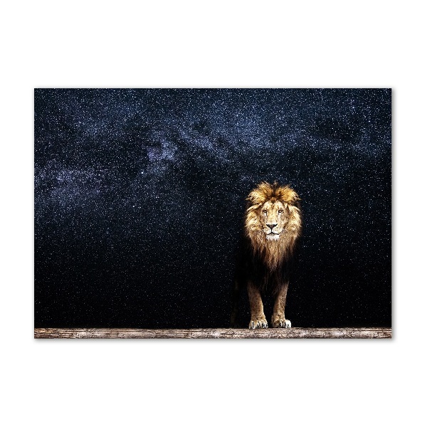 Schilderij op acrylglas Leeuw tegen de sterren