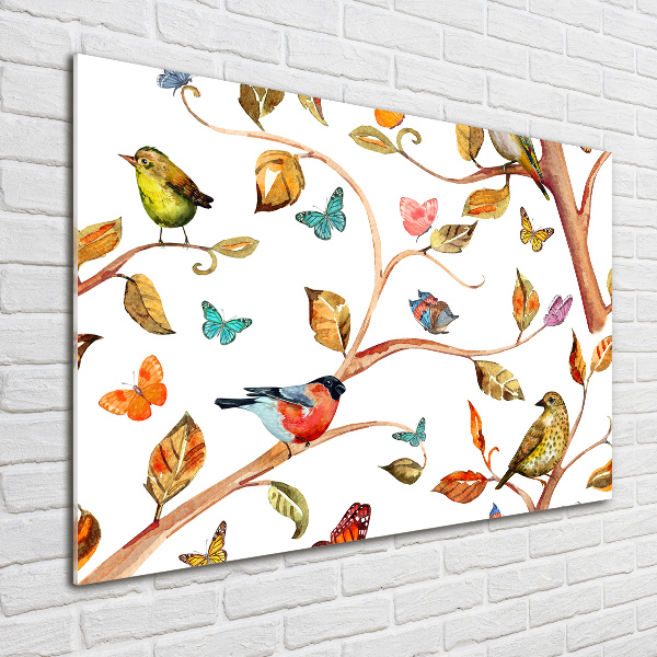 Schilderij op acrylglas Vogels en vlinders