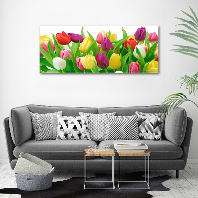 Schilderij op acrylglas Kleurrijke tulpen