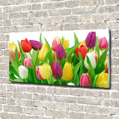 Schilderij op acrylglas Kleurrijke tulpen