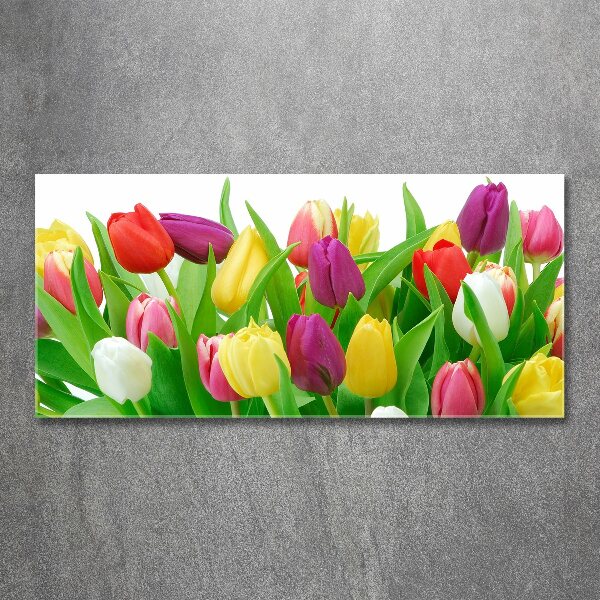 Schilderij op acrylglas Kleurrijke tulpen