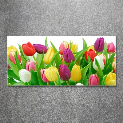 Schilderij op acrylglas Kleurrijke tulpen
