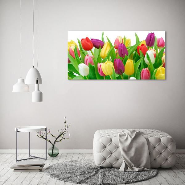 Schilderij op acrylglas Kleurrijke tulpen