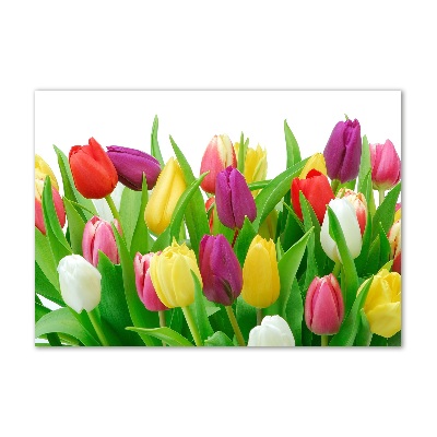 Schilderij op acrylglas Kleurrijke tulpen