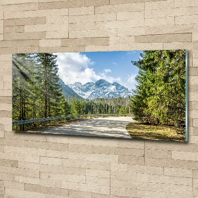 Foto op plexiglas Tatra-gebergteweg