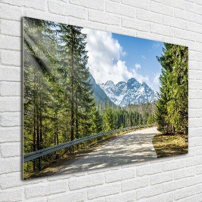 Foto op plexiglas Tatra-gebergteweg