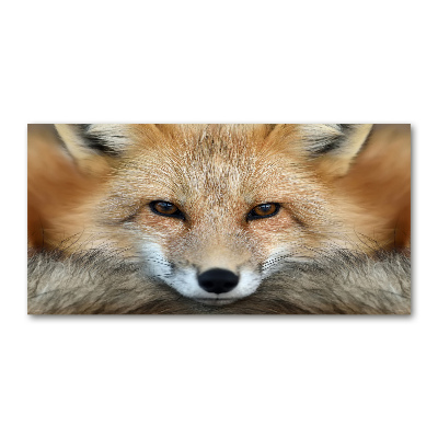 Foto in plexiglas Vos