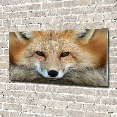 Foto in plexiglas Vos