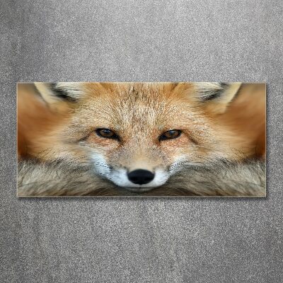 Foto in plexiglas Vos