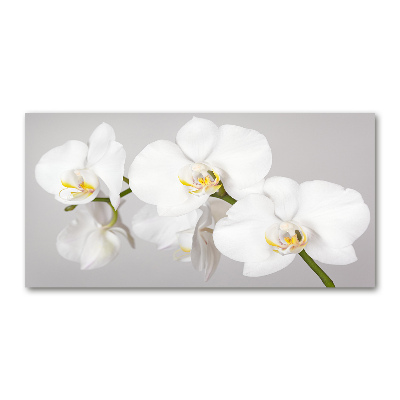 Plexiglas foto Orchidee