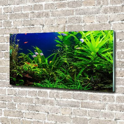 Schilderij op acrylglas Vissen in het aquarium