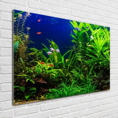 Schilderij op acrylglas Vissen in het aquarium