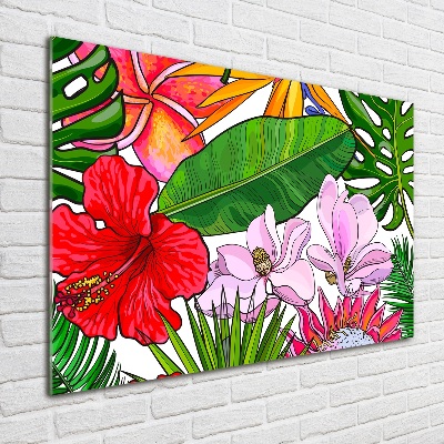 Foto plexiglas Hawaiiaanse bloemen