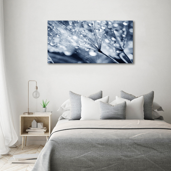 Foto plexiglas Paardenbloemzaden