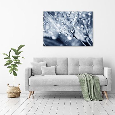 Foto plexiglas Paardenbloemzaden