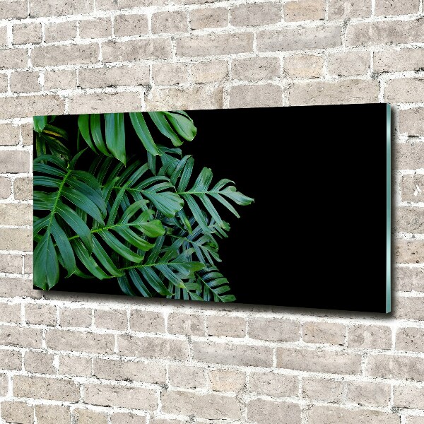 Schilderij op acrylglas Monstera