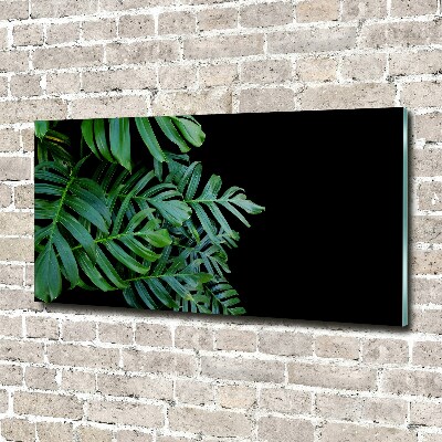 Schilderij op acrylglas Monstera