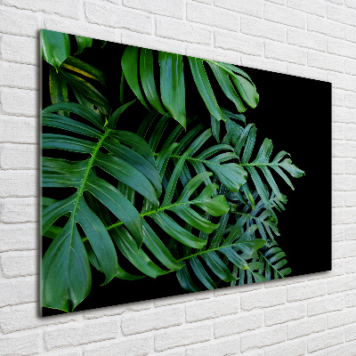 Schilderij op acrylglas Monstera
