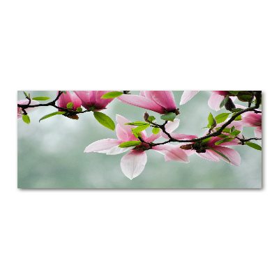 Plexiglas schilderij Magnolia