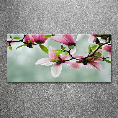Plexiglas schilderij Magnolia
