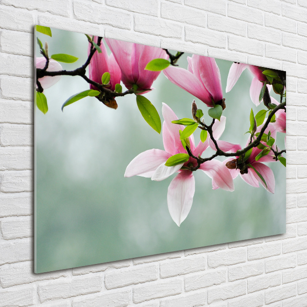 Plexiglas schilderij Magnolia