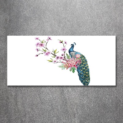 Plexiglas schilderij Pauw en bloemen