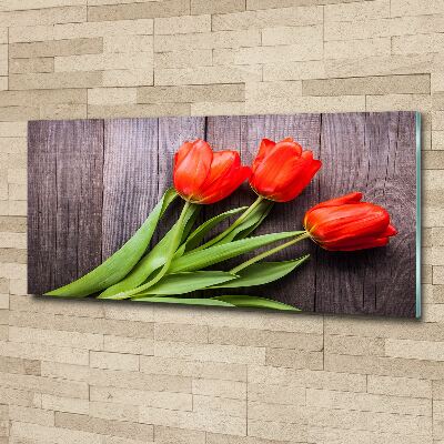 Foto op plexiglas Rode tulpen