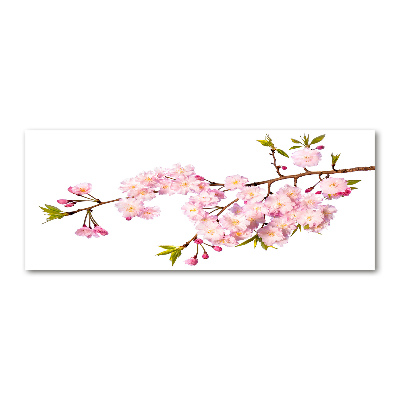 Foto plexiglas Doorn