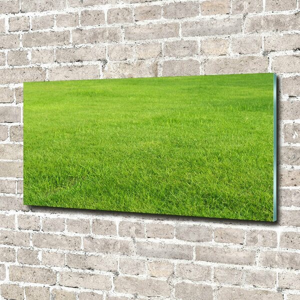 Plexiglas foto Groen gras