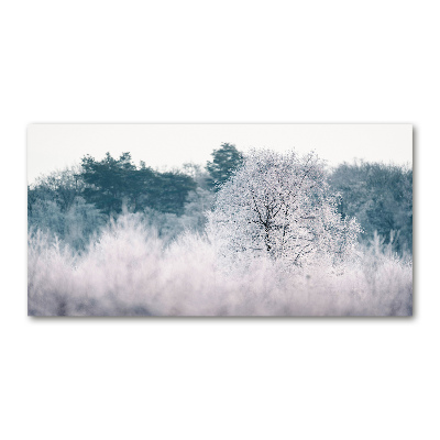 Foto plexiglas Bomen in de winter