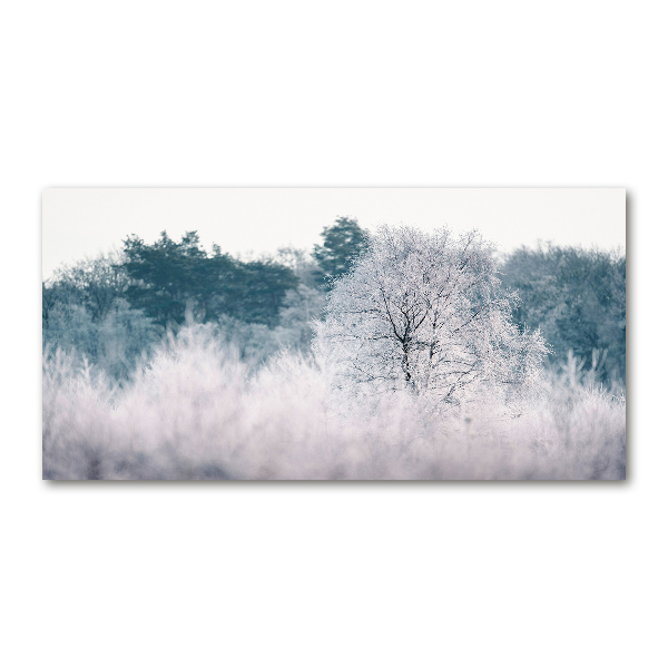 Foto plexiglas Bomen in de winter