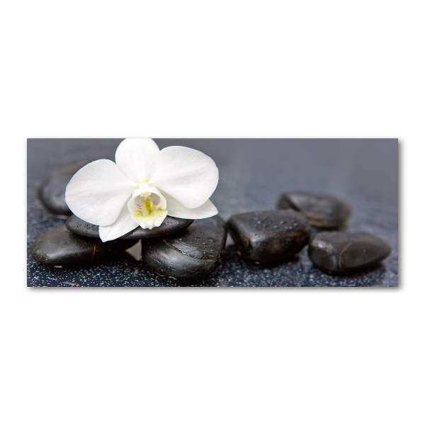 Plexiglas schilderij Orchidee