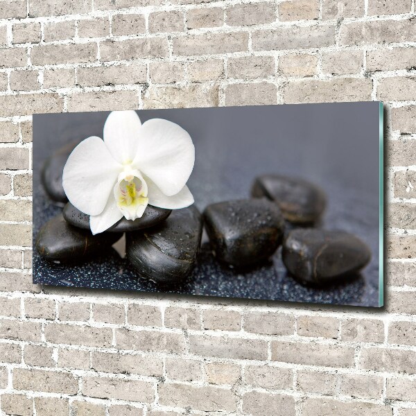 Plexiglas schilderij Orchidee