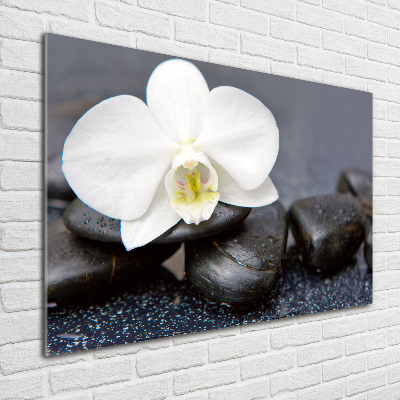 Plexiglas schilderij Orchidee