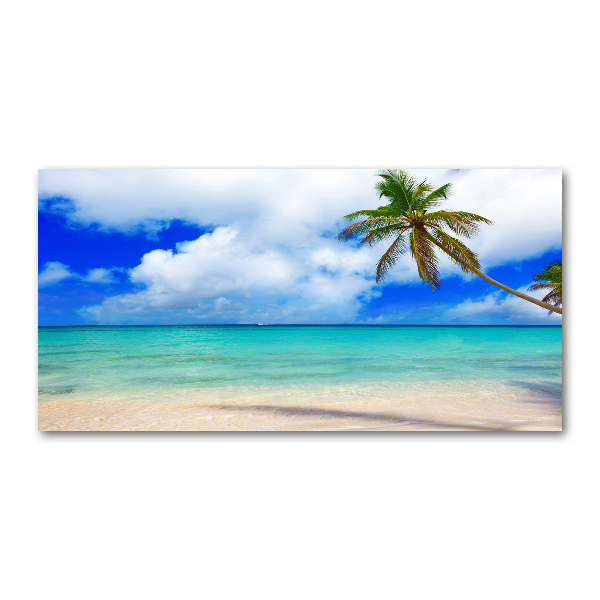 Foto in plexiglas Caribisch strand