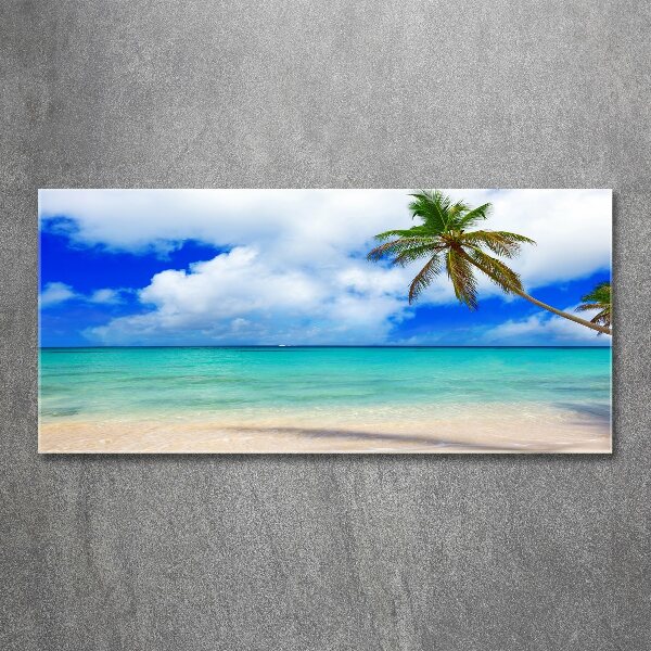 Foto in plexiglas Caribisch strand