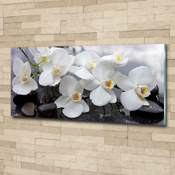 Foto op plexiglas Orchidee